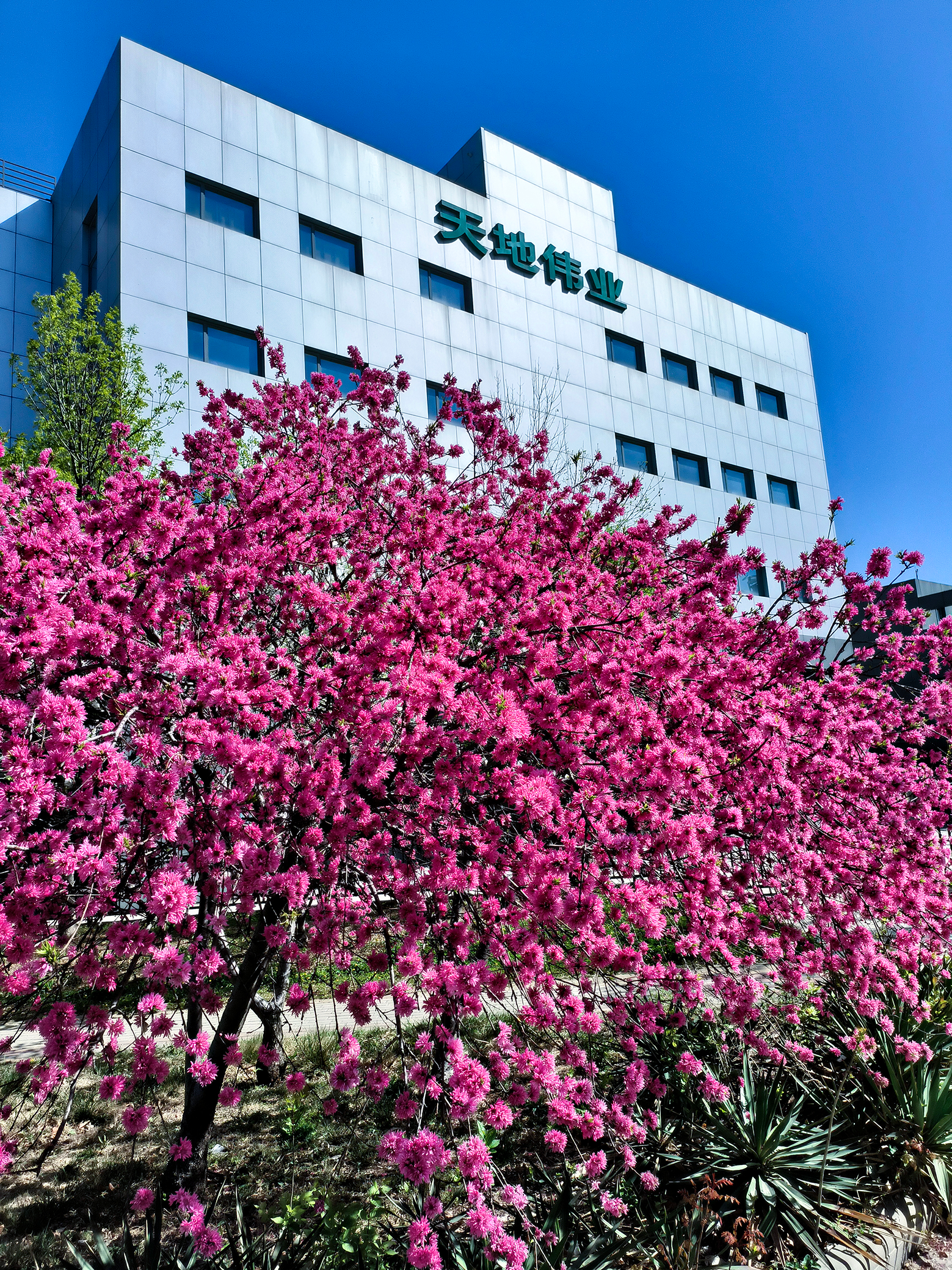 首页 | J9集团有限公司官网